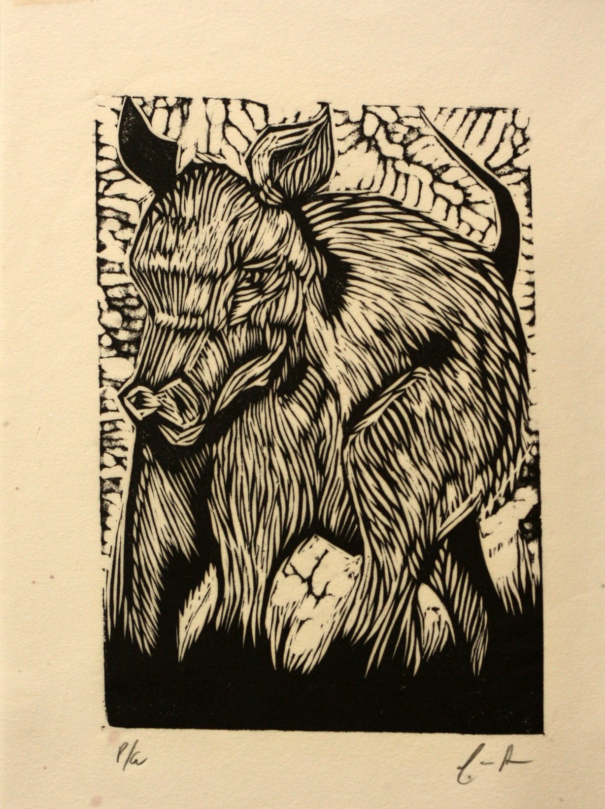 Cerdo - Image 1