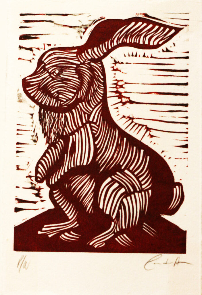 Conejo