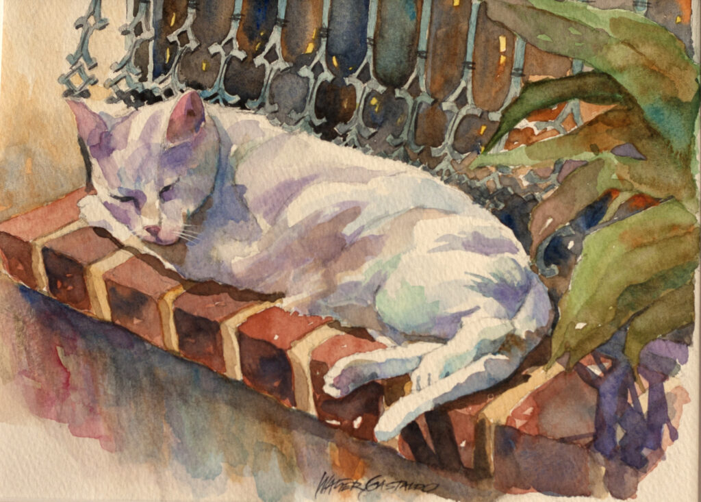 Gato