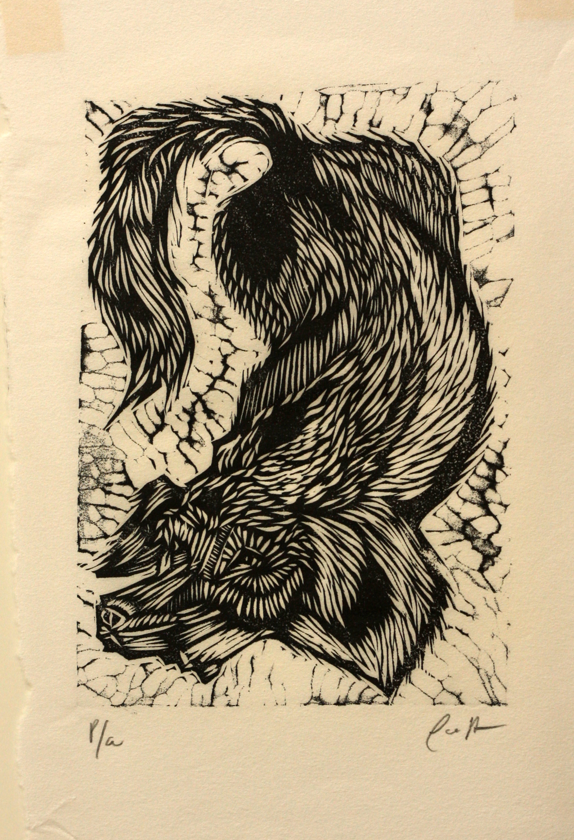 Perro - Image 1