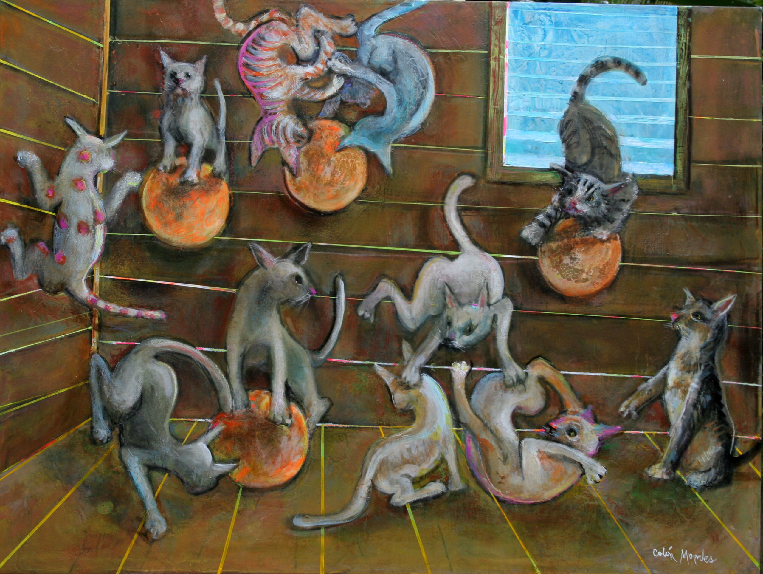 Riña de gatos - Image 1