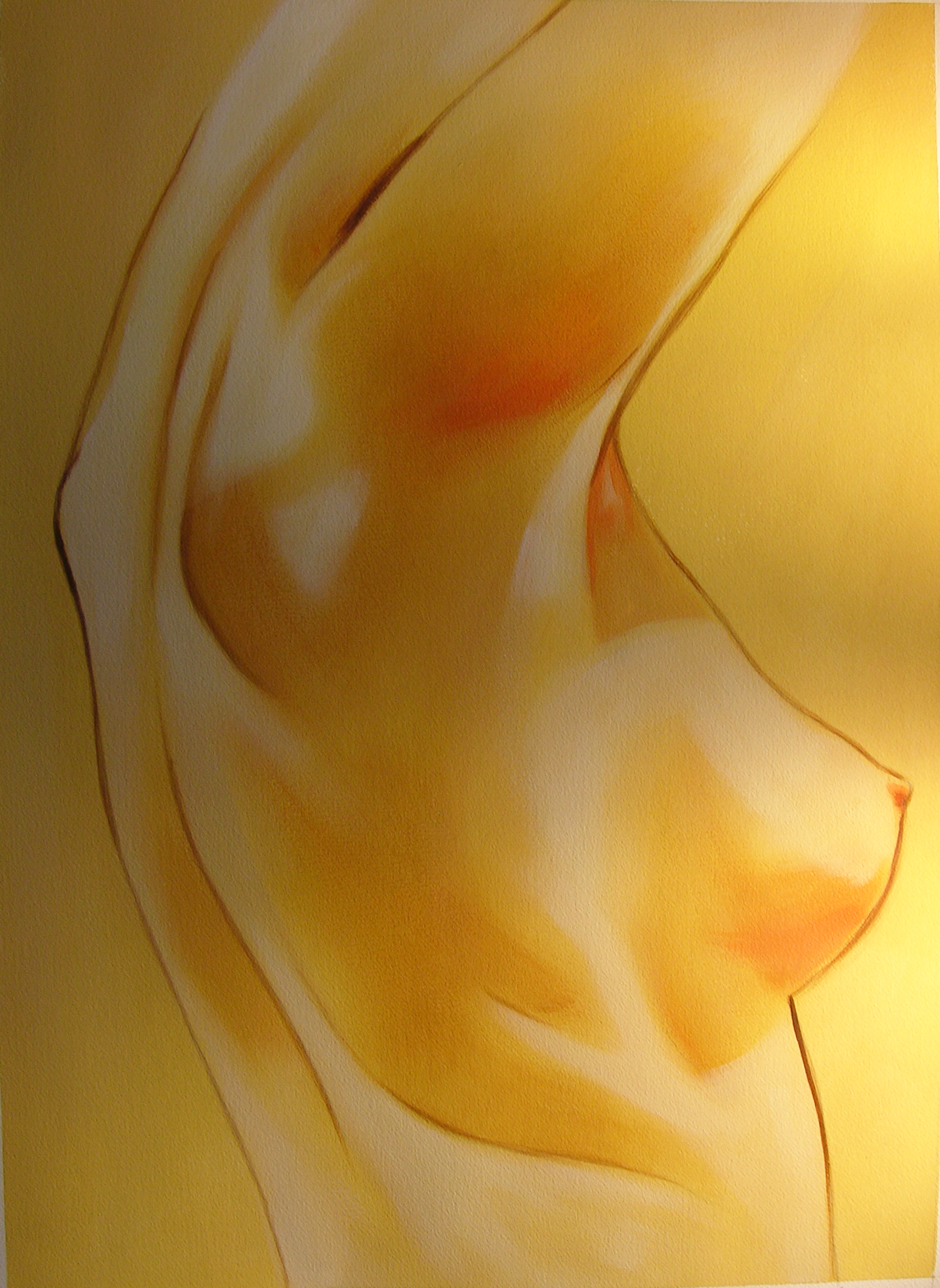 Senos Desnudos - Image 1