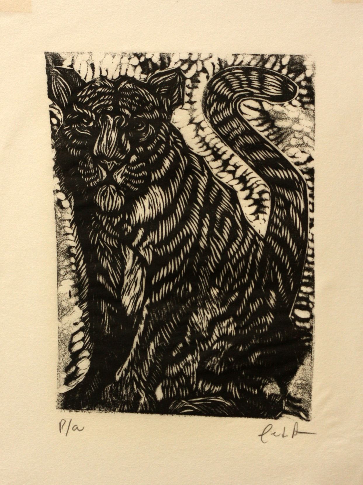 Tigre - Image 1
