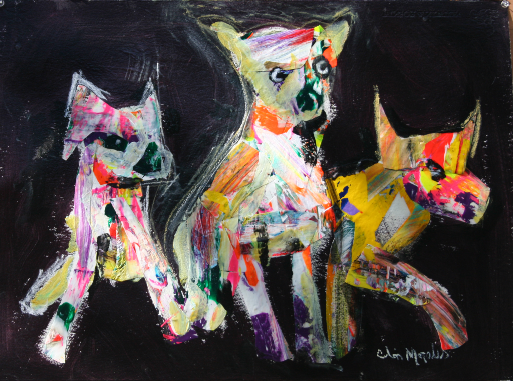 Tribu - Canina